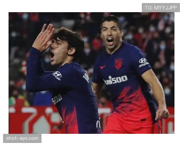 莫利纳防守表现显著提升，助力球队后防线竞争力增强